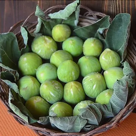 Baia Santa Margherita Bed and breakfast